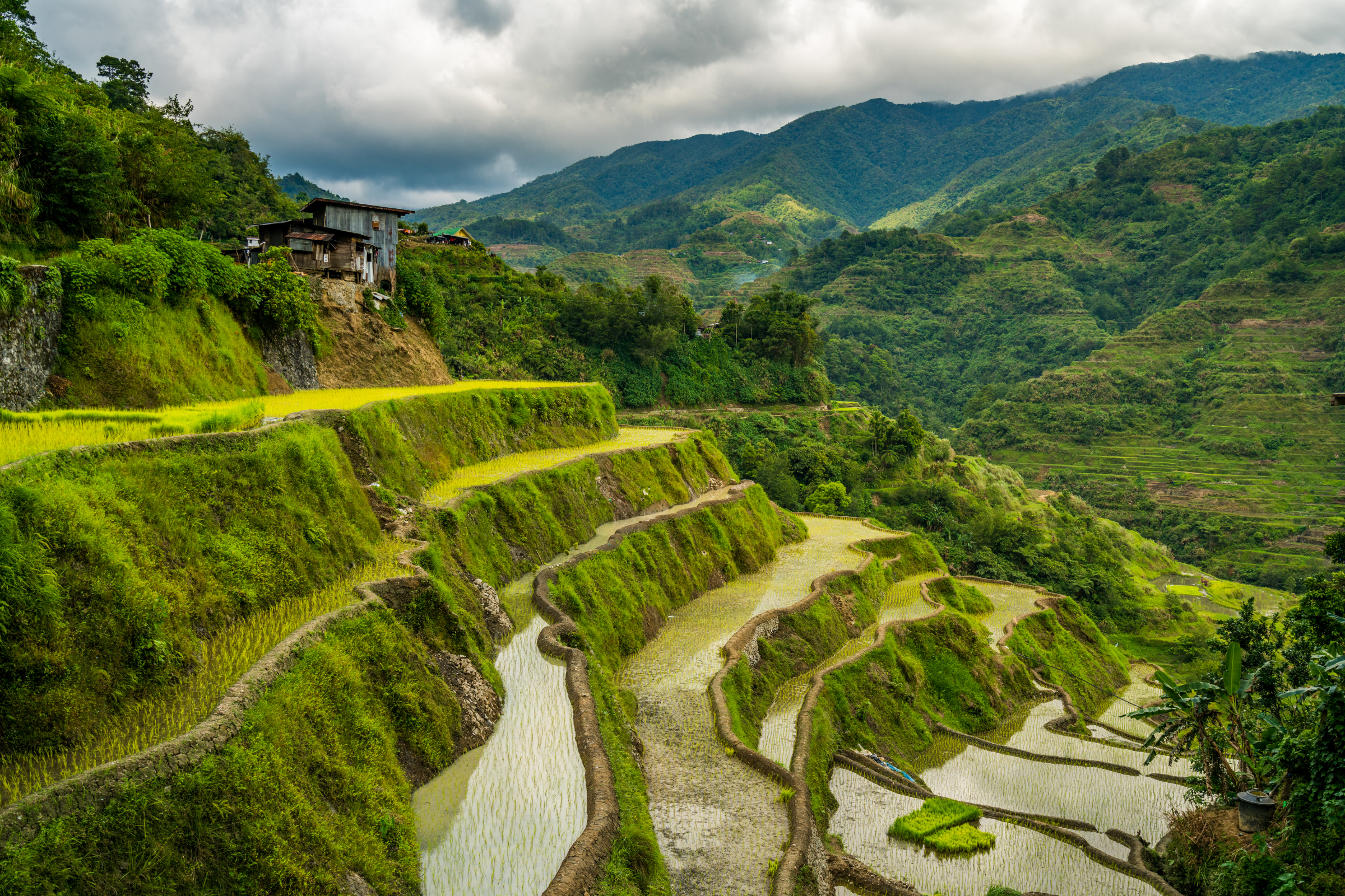 banaue (2).webp